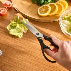 Dr.Inox Stainless Steel Scissors, Black