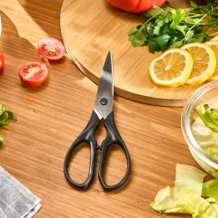 Dr.Inox Stainless Steel Scissors, Black