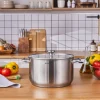 Karaca Elite Stainless Steel Induction Stock Pot & Lid, 28cm, Silver
