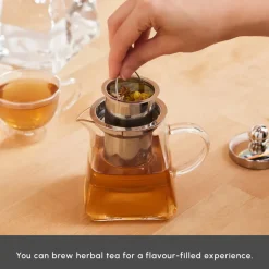 Karaca Giza Borosilicate Glass Teapot Set, Transparent