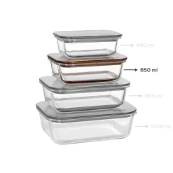 Karaca Karya Acacia Storage Container, 650ml, Clear