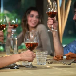 RCR 6-Piece Optiq Wine Glass Set, 670ml, Transparent
