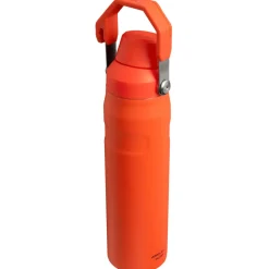 Stanley Aerolight IceFlow Stainless Steel Cold Water Flask, 600ml, Tigerlily