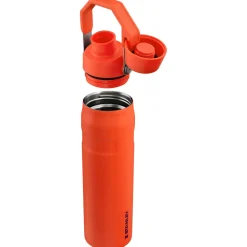 Stanley Aerolight IceFlow Stainless Steel Cold Water Flask, 600ml, Tigerlily